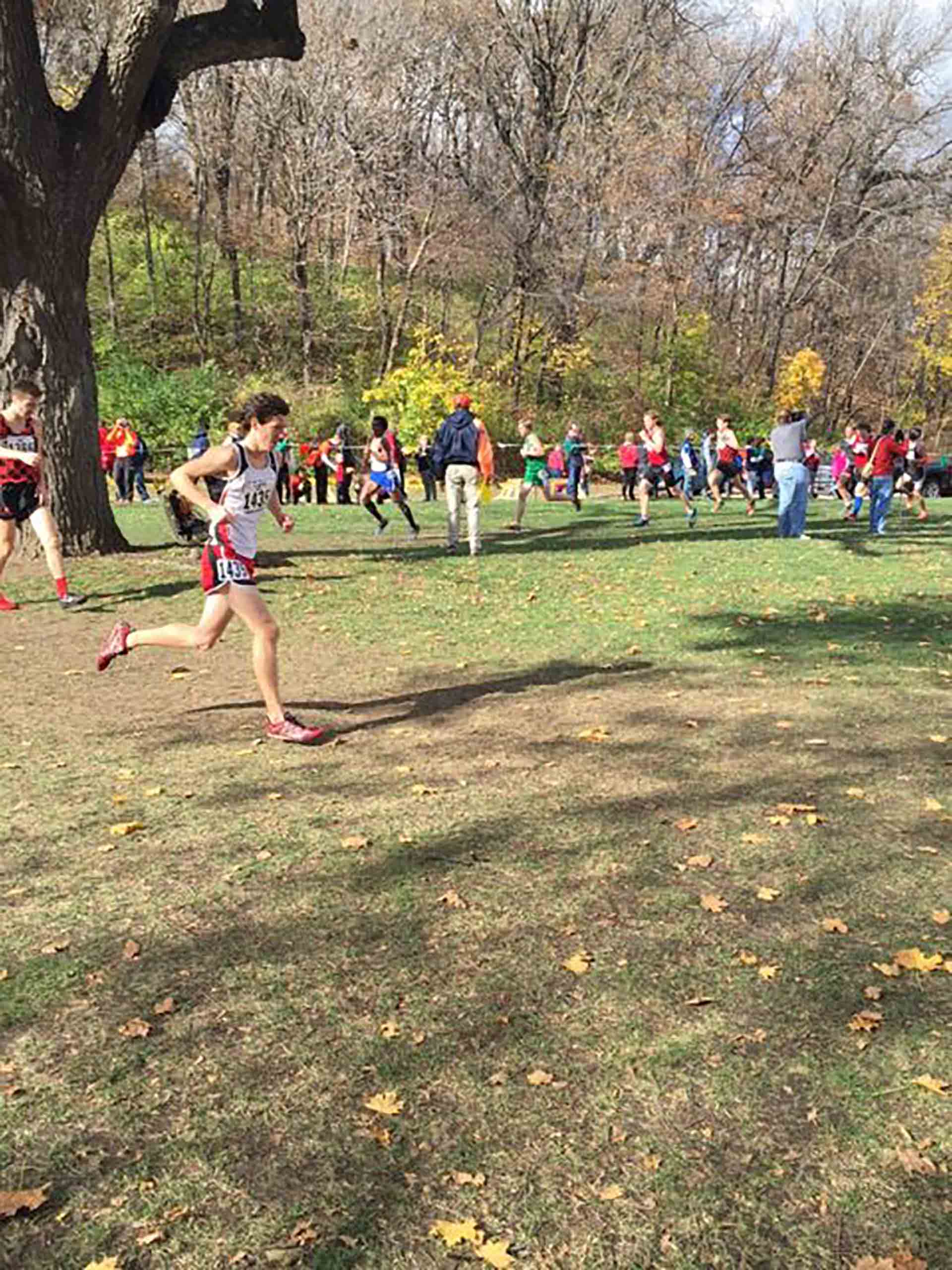 cross-country-state-2015-07