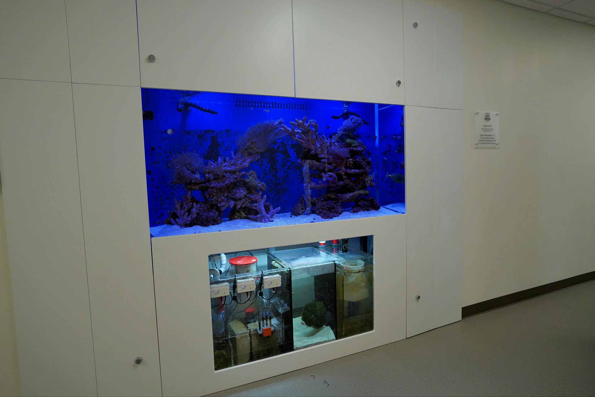 monastery-hall-dedication-fish-tank